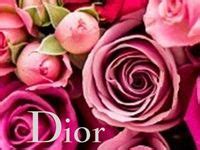 34 idee su SFONDI DIOR .